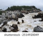 Coastal Scenery of Samcheok, Gangwon-do, South Korea. East Sea, sand, forest, rock, wave, coast