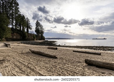 Coastal scenery at Stanley Park, Vancouver, featuring sandy beach, driftwood, and ocean views.