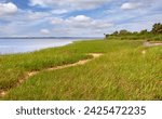 Coastal shoreline of the Saint Marks River, at Saint Marks National Wildlife Refuge, blue sky and natural wetlands.
