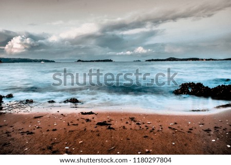 Similar – Image, Stock Photo roaming the beach 2 Nature