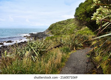 Coastal Trail. Bush Walk In Bluff, Southland, New Zealand.