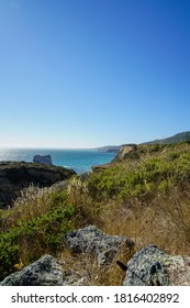 Coastal Trail In Point Reyes Station In California