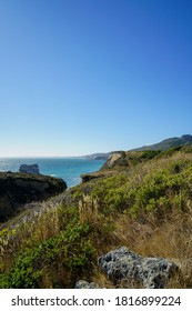 The Coastal Trail In Point Reyes Station In California