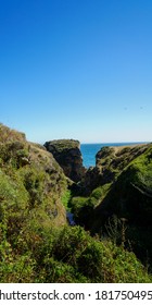 The Coastal Trail In Point Reyes Station In California