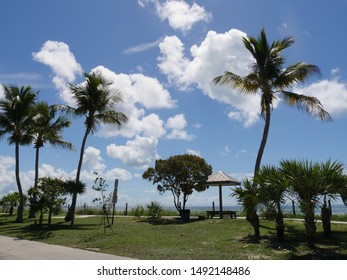 Coastal View Along S Roosevelt Boulevard, Key West, Florida.