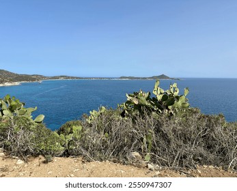 Coastal view with a clear blue sky, overlooking the ocean from a dry, rocky terrain with sparse vegetation. The coastline stretches in the distance with a tranquil beach and rolling hills. - Powered by Shutterstock