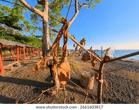 Coastal view featuring tree branches with dry leaves and plastic waste, a row of wooden huts, and the blue sea under a clear sky, highlighting the contrast between nature and human impact.