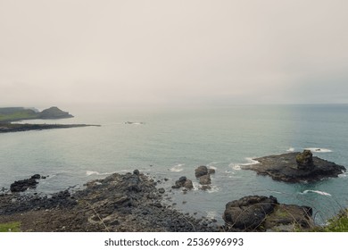 Coastal view of the Giant's Causeway in Northern Ireland, featuring rugged rock formations and calm sea. Vintage film style photo captures a serene, moody landscape - Powered by Shutterstock