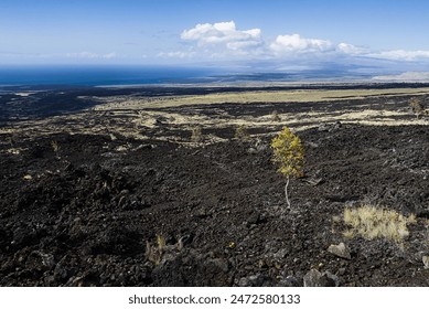 The coastal view on Big Island, Hawaii. - Powered by Shutterstock