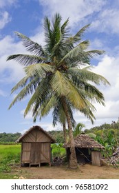 Coastal Village Of Antongil Bay, East Of Madagascar