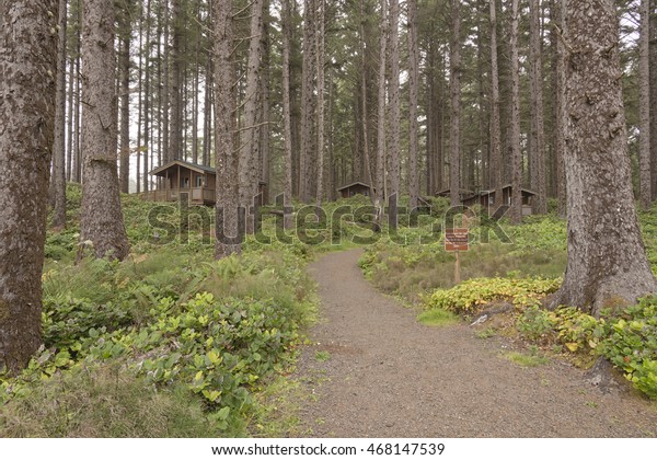 Coastline Cabins Rent Oregon Coast Stock Image Download Now