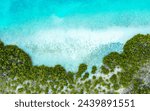 coastline of Mangroves Cay, a nature reserve in Turks and Caicos Islands, seen from top down in balance composition of clear turquoise sea water on upper half and bright green trees on bottom