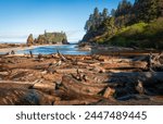 The Coastline at Ruby Beach in Olympic National Park, Washington State, USA