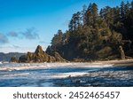 The Coastline at Ruby Beach in Olympic National Park, Washington State, USA