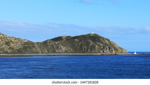 A Coastline Scene In Cook Strait, New Zealand