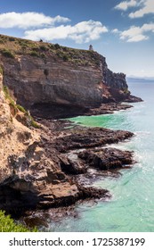 Coastline At Taiaroa Head In New Zealand