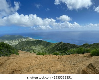 Coastline view from elevated point