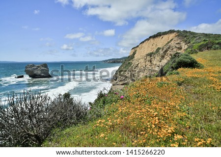 Coastline views near Arch Rock in Point Reyes National Seashore with Spring Flowers. Marin County, California, USA.