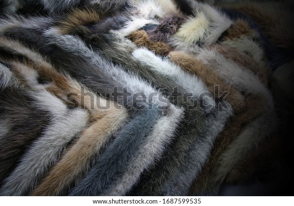 A coat made of mink\
tails