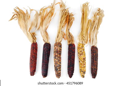 Cob Corn Indian Isolated On White