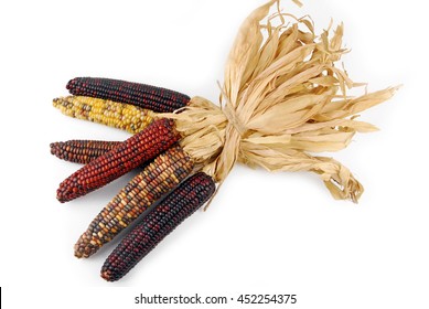 Cob Corn Indian Isolated On White