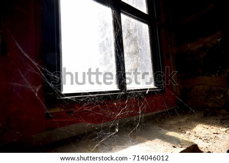 Cob Web in the Sunshine of an Old Window