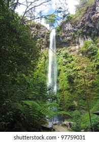 Coban Rondo Images Stock Photos Vectors Shutterstock