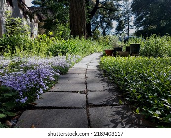 Cobble Stone Wild Garden Pathway 