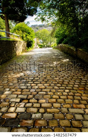 A cobble stoned tree lined downhill path in a yorkshire village