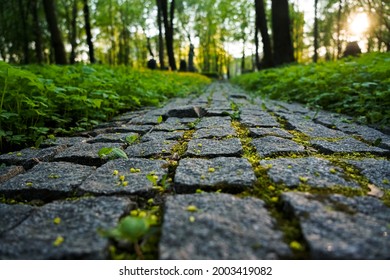 A cobbled path in a city park made of stones. Stone paved road in green park