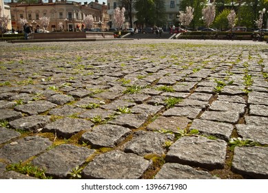 Cobblestone close-up. Sharpness on granite tile. Square and street are blurred in the background. Layout for design. The area is removed from the lower angle.