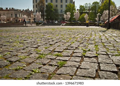 Cobblestone close-up. Sharpness on granite tile. Square and street are blurred in the background. Layout for design. The area is removed from the lower angle.
