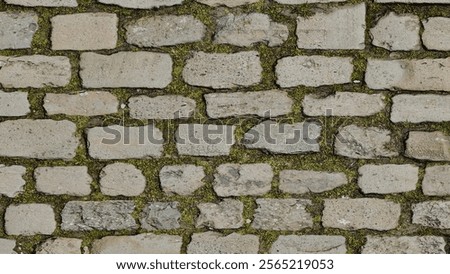 Cobblestone path featuring stones arranged irregularly with green moss between the joints, showcasing texture and natural ambiance. Paving stones. outdoor aesthetics.