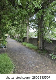 A cobblestone path lined by tall trees on both sides, leading to a wooden fence.