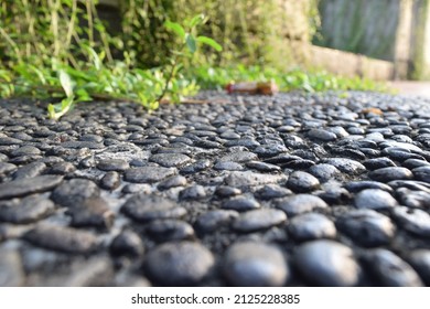 cobblestone path with plants by the roadside
