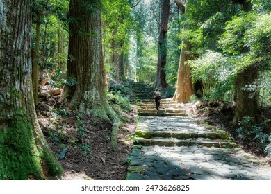 Cobblestone path through the forest of ancient cedars, part of the Kumano Kodo - Nakahechi Daimon-saka Pilgrim Route in Japan.