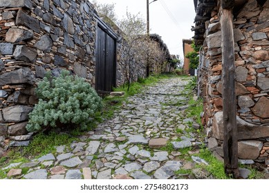 Cobblestone path winding uphill between aged stone walls and traditional buildings in a rural village setting. Fikardou historic village Cyprus