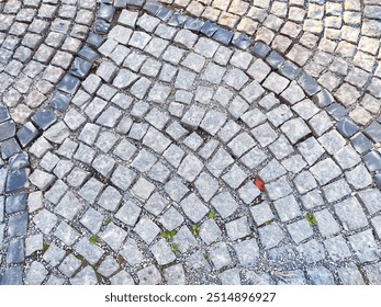 A cobblestone path winds through an outdoor area, showcasing various stone shapes and textures. - Powered by Shutterstock