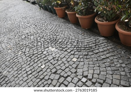 Cobblestone pathway lined with potted plants in a garden