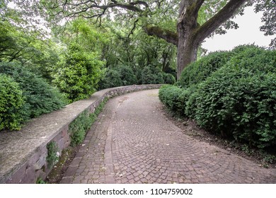 cobblestone pathway in the park
