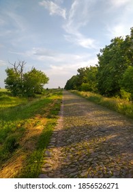 Cobblestone Road With Green Trees And Sunlight. The Roadside Is Covered With Plants. Clear Sky. The Way Forward. Background, Screensaver For Screens. Summer Season. Stone Road. Bright Sunlight.