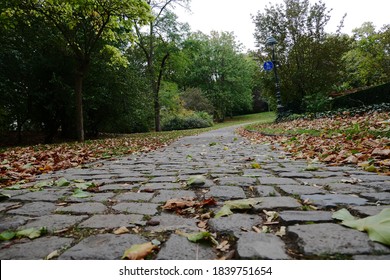 Cobblestone road in the park in autumn with colourful leaves on the ground and green trees in background