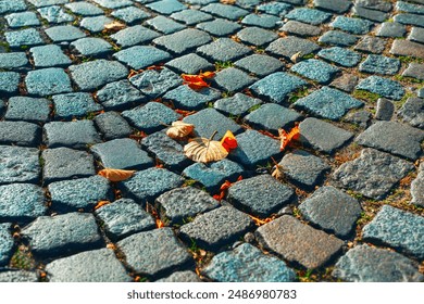 Cobblestone walkway with a autumn leaves on it. Pavement background in the fall season - Powered by Shutterstock