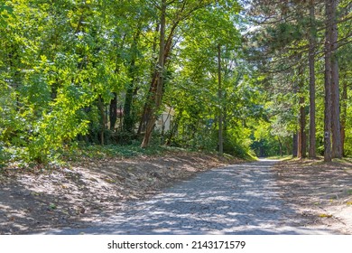 Cobblestones Way in to Green Woods Sunny Summer Day