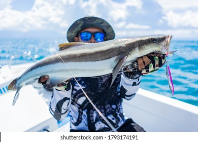 The Cobia Fishing In The Sea.