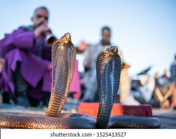 340 Snake enchanter Stock Photos, Images & Photography | Shutterstock