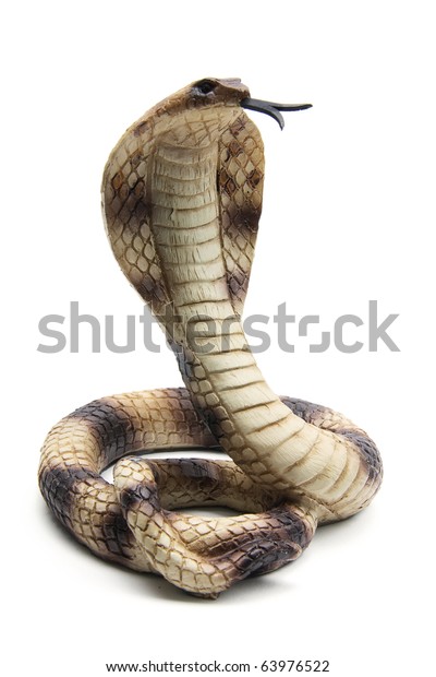 Cobra On White Background Stock Photo (Edit Now) 63976522