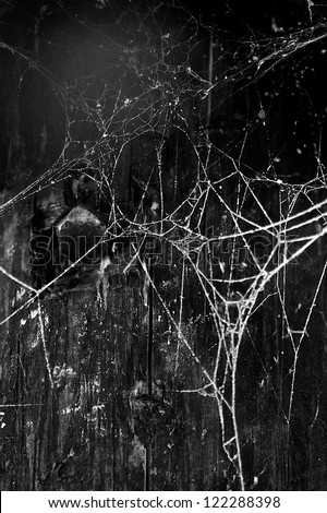 cobweb
