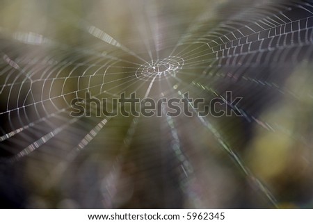 Similar – Foto Bild Netz Natur Spinne nass