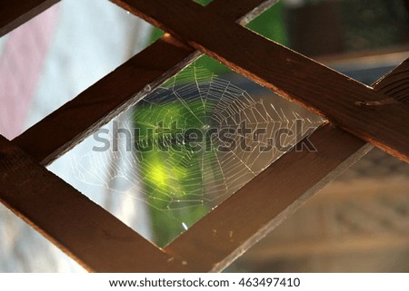 Similar – Image, Stock Photo table Food Nutrition Bowl